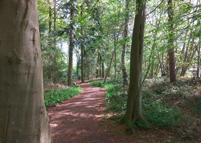 Wellness Waldblick Lejlighed